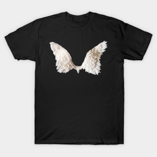 Light Academia Angel Wings T-Shirt